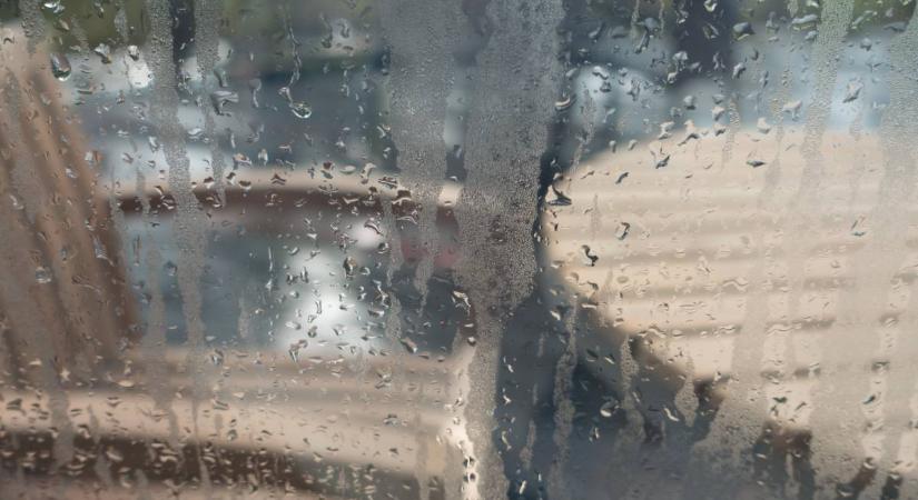 Így szabadulj meg a párától a lakásban – 5 tipp az egészségesebb otthonért