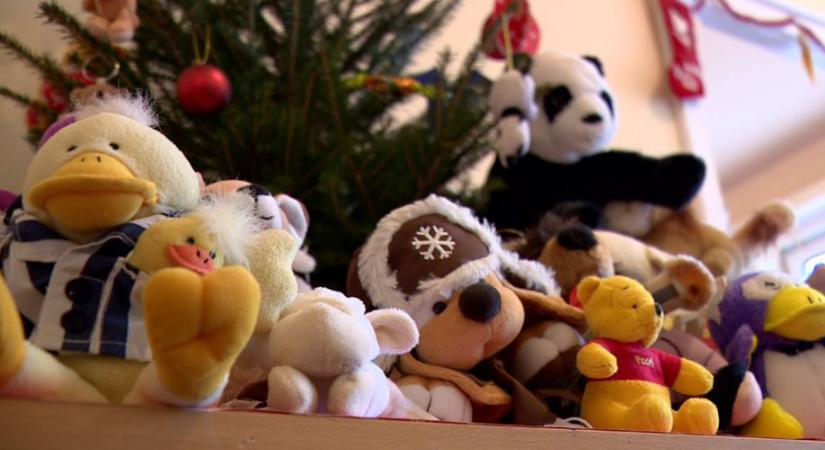 Karácsonyi adománygyűjtést szervez a Tiszta Vásárhelyért Egyesület