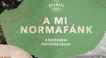 „A mi Normafánk” címmel közösségi fotógyűjtést szerveznek