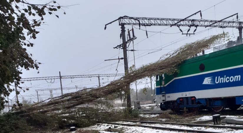 A vasúti-, a tengeri- és a folyami közlekedésben is fennakadásokat okoz a hóvihar