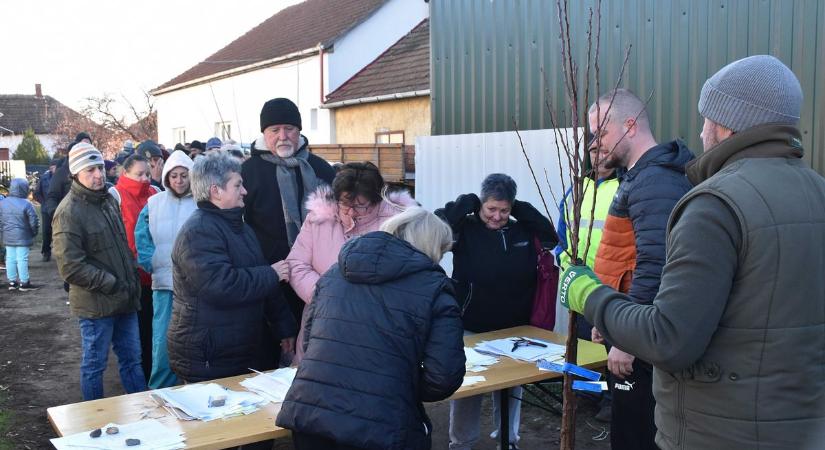 Több száz gyümölcsfát osztottak ki Jászszentandráson