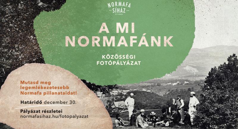 Közösségi fotógyűjtést szerveznek „A mi Normafánk” címmel”