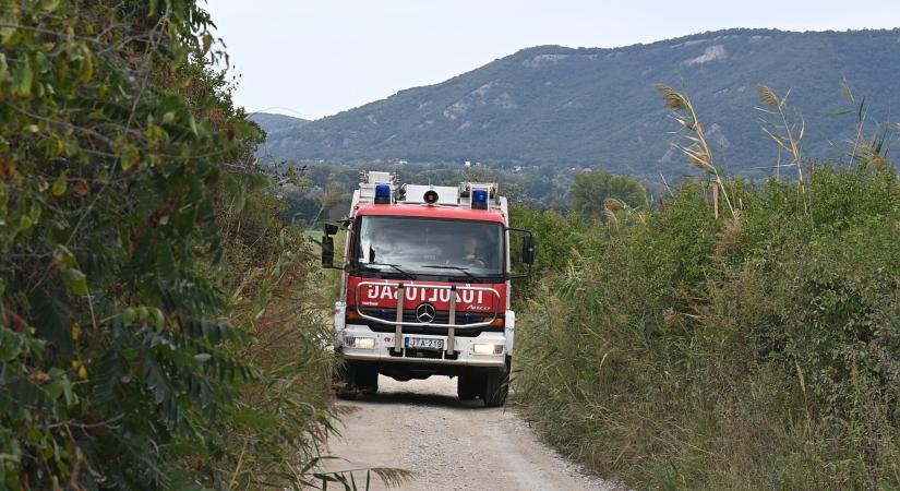 Megdöbbentő, hány kamuhívást kapnak a tűzoltók