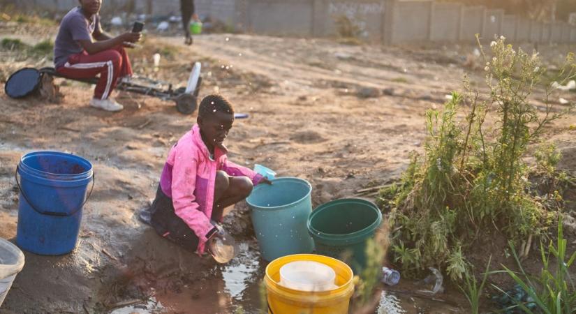 Zimbabwe jelentősen növelné a kertészeti exportját