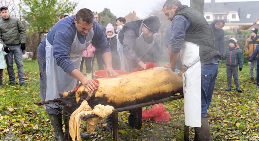 Piac és disznótor is lesz Ménfőcsanakon