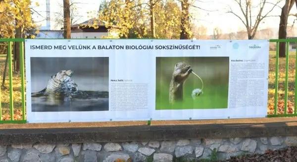 A biodiverzitás védelmére buzdít a Theodora ásványvíz kékkúti kiállítása