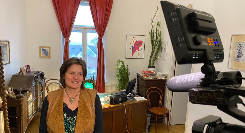 Tarvágások helyett nemzeti parkos védelmet szeretnének a Mecseknek