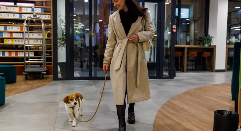 Abszolút kutyabarát Magyarország első Hampton by Hilton szállodája