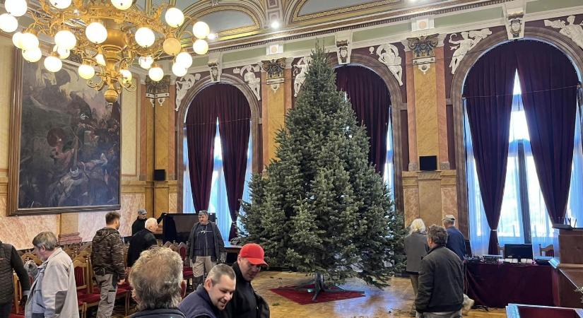 A városháza karácsonyfája is megérkezett
