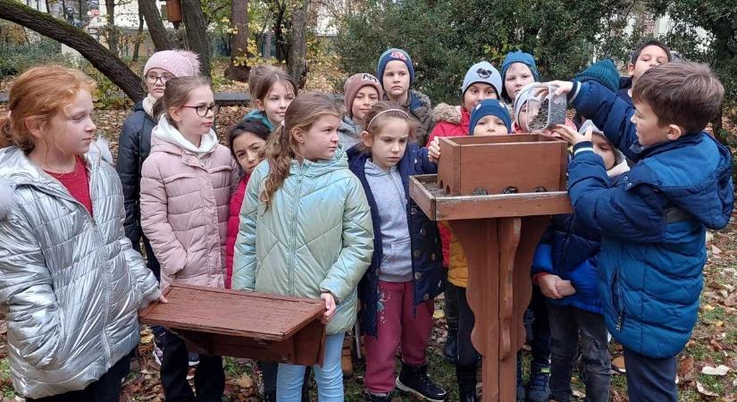 Madarakat etettek a pásztói iskolások, természetszeretetre nevelik a fiatalokat
