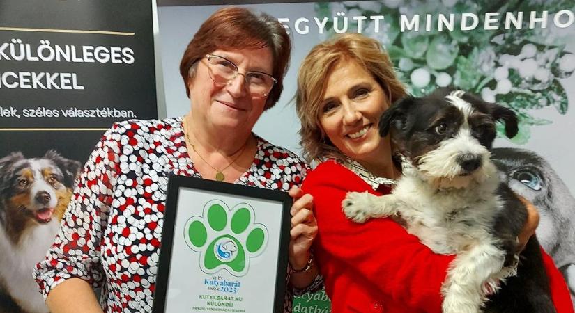 Négylábú vendégek - Vasi panzió a legjobb kutyabarát helyek között