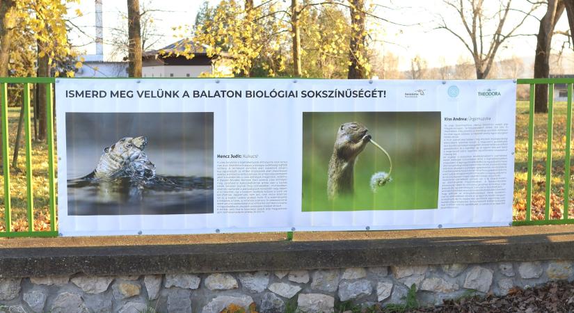 Természetfotók a természetben: a biodiverzitás védelmére buzdít a Theodora ásványvíz kékkúti kiállítása