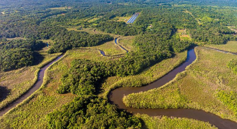 Amióta nem Bolsonaro van hatalmon, jelentősen visszaesett az erdőirtás az Amazonas-vidéken