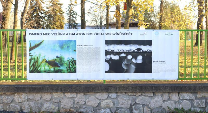 Szabadtéri kiállítás nyílt a Káli-medence szívében
