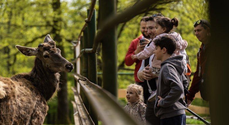 A hosszú hétvégén is nyitva lesz a marosvásárhelyi állatkert