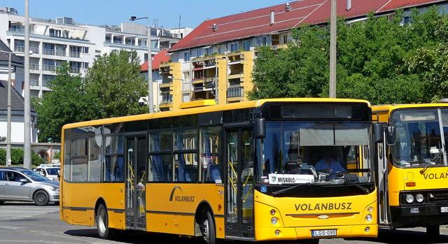 300 kilométert utazott egy kiscica a busz padlója alatt, mire Gyula megmentette