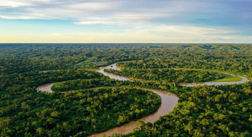 Csökkent az erdőirtás az Amazonas-vidéken