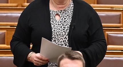 Gurmai Zita: a Fidesz fizetőssé tette a magyar egészségügyet
