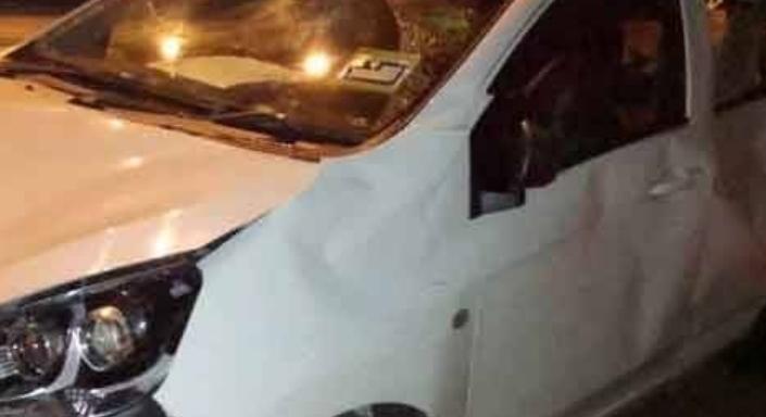 Egy egész csorda vetődött az autósra, aki elütött egy kis elefántot
