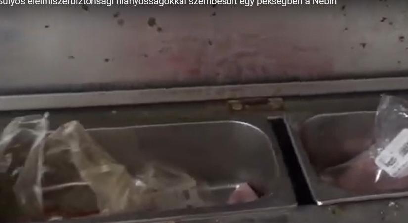 Horrorpékséget záratott be a Nébih Vácon