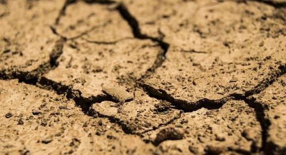 Rohamos tempóban romlik a hazai termőföldek állapota