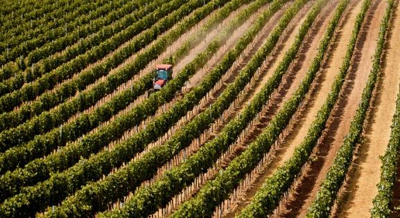 Borítékolható, hogy mire nem költenek jövőre sem az agrárcégek
