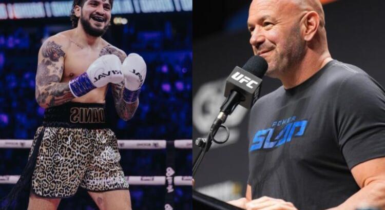 Dana White nem kér Dillon Danis-féle cirkuszból