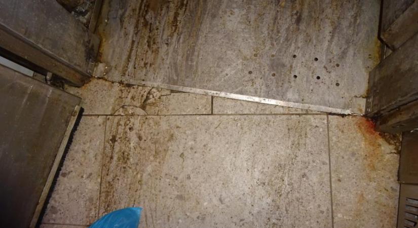 Cigicsikk, undorító kosz, gyomorforgató állapotok - Azonnal lakat került a Pest megyei pékségre (VIDEÓ)