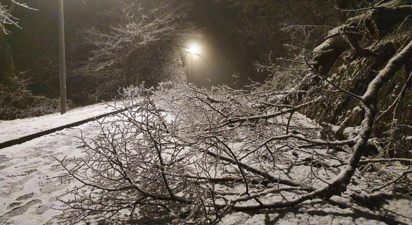 Figyelmeztetnek a meteorológusok: vastag jégpáncél alakulhat ki az ónos eső miatt a budai hegyekben, piros riasztás is lehet