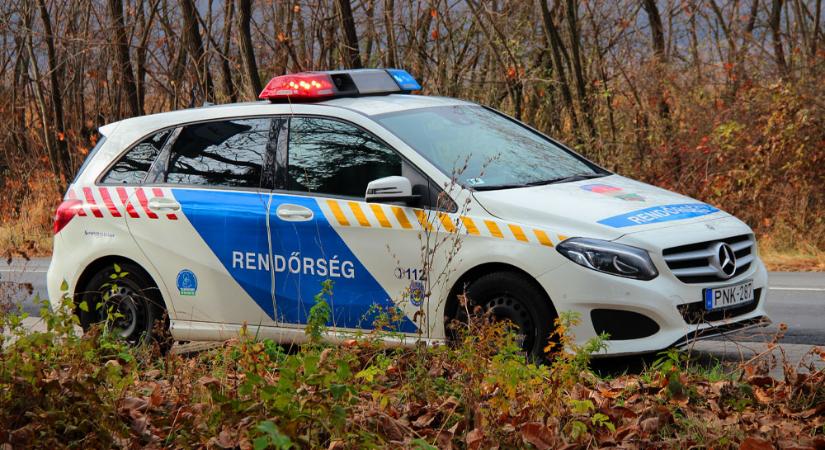 Megindult a szülés az M1-M7 bevezetőn, egy éppen arra járó rendőr segített a bajba jutott kismamának