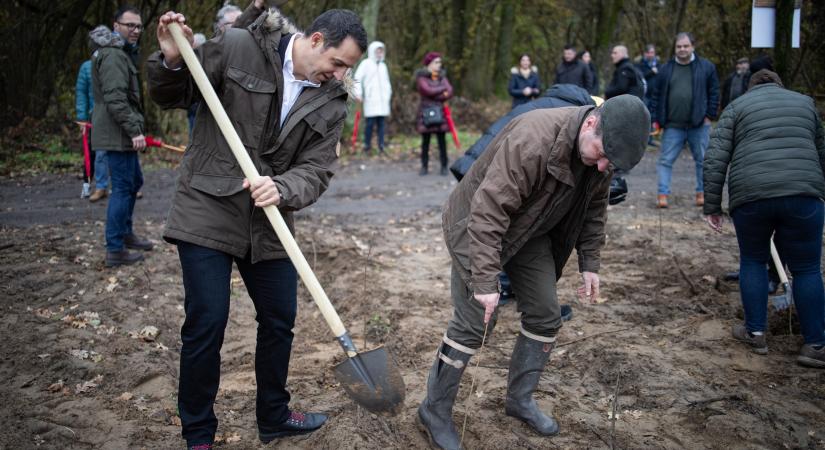 Széleskörű ESG beruházási programot valósít meg a Nádudvari