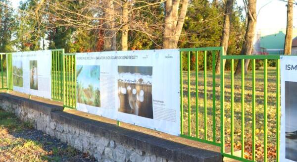 Csodás képek a Balatonról