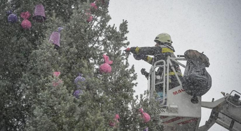Hullott a pelyhes fehér hó a gyöngyösi karácsonyfa díszítőire  fotók