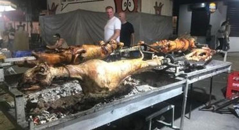 A Fradi a Balkán grillfővárosában játszik, ahol őket nem ismerik, de Orbánt igen – Leskovac galéria