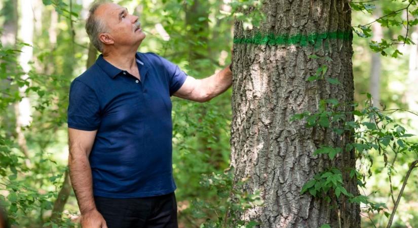 Plusz forrásban részesülnek az erdészeti és természetvédő civil szervezetek