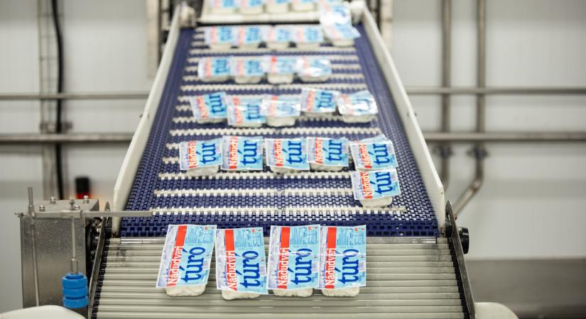 300 családnyi energiafogyasztást spórolhat meg a Nádudvari