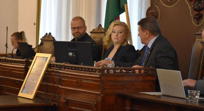 Bringaparkra pályázik a bajai önkormányzat