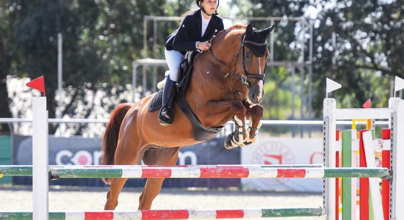 A kemény munka bajnoki címet hozott