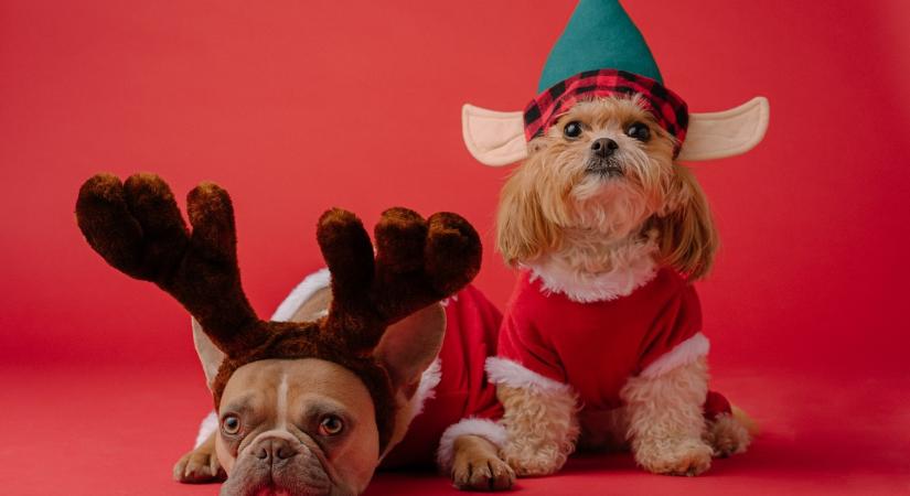 Csillagjegyek, akiknek jól alakul a december