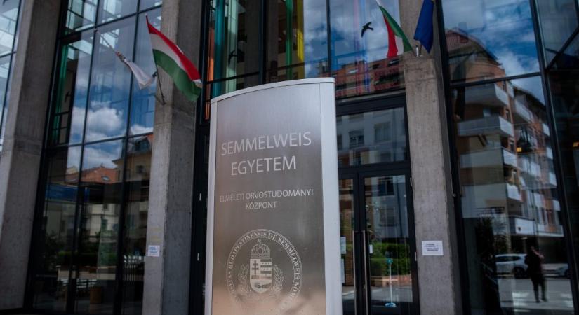 Népszava: kisgömböccé válhat a Semmelweis Egyetem