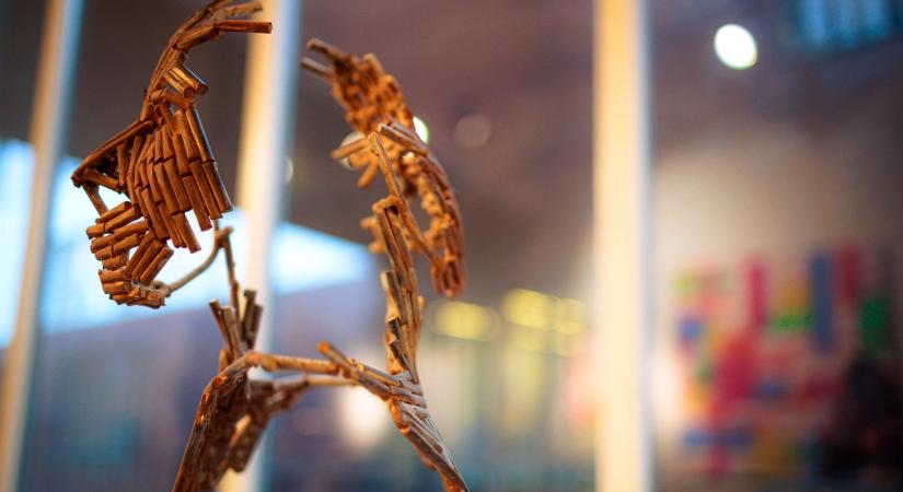 Ismét aukciót tartanak a pécsi egyetemisták alkotásaiból