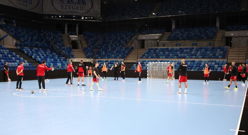 Mikler Roland nélkül megy az Eb-re a magyar férfi kézilabda-válogatott