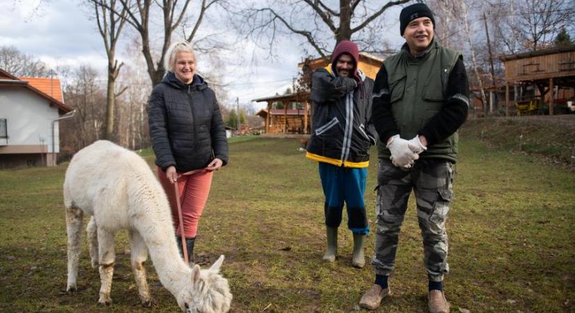Több száz hátrányos helyzetű ember kap új esélyt a munkára, a jövőben könnyebben hozhatnak létre szociális farmokat