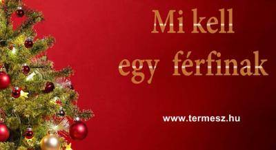 Mi kell a férfinak!?