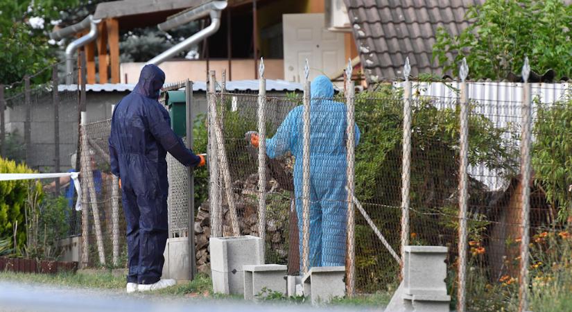 „Aranka holttestét körbevették a macskák” – A macskái ehettek a napok óta halott asszony testéből a 18. kerületben