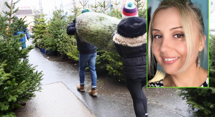 Most fogsz megdöbbeni, de ennyibe kerül az igazi fenyőfa Amerikában. Gombos Edina lerántotta a leplet
