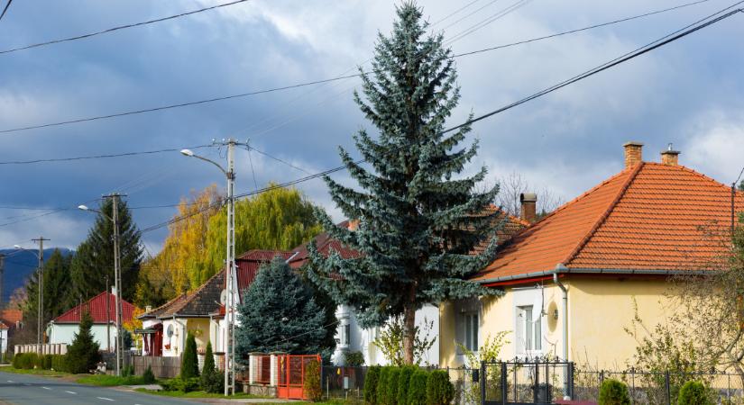Hatalmas támogatást kapott Füzesgyarmat: de mire kellett ennyi pénz a településnek?
