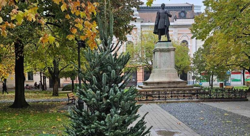 Bárki díszítheti a Kossuth téri karácsonyfát
