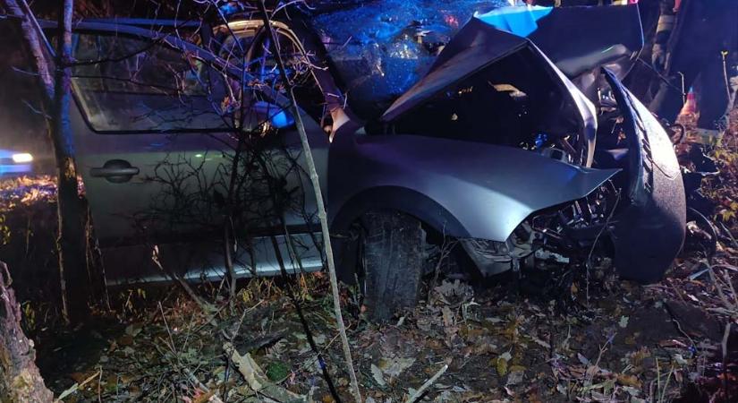 Őz okozott balesetet Pátyon, súlyos sérülésekkel szállították kórházba a sofőrt – helyszíni fotók