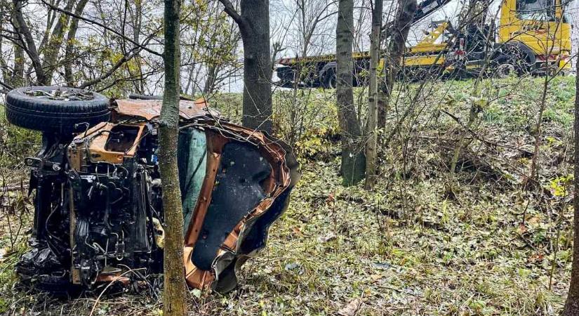 Elaludt a pickup sofőrje a bicskei elkerülőn, lesodródott az útról és több fát kiöntött